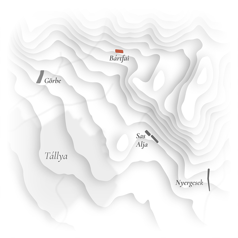 Tállya map - Bártfai