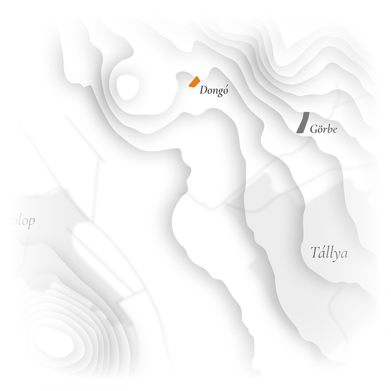 Tállya map - Dongó